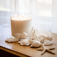 Ocean Breeze 1.5kg soy candle
