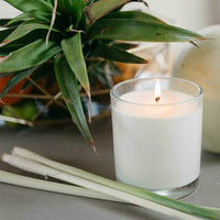 CandleXchange candle lit sitting behind a bunch of lemongrass and in front of a pineapple top