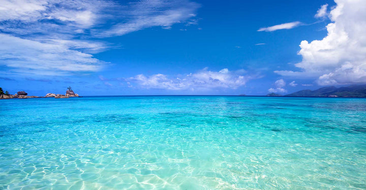Ocean Breeze