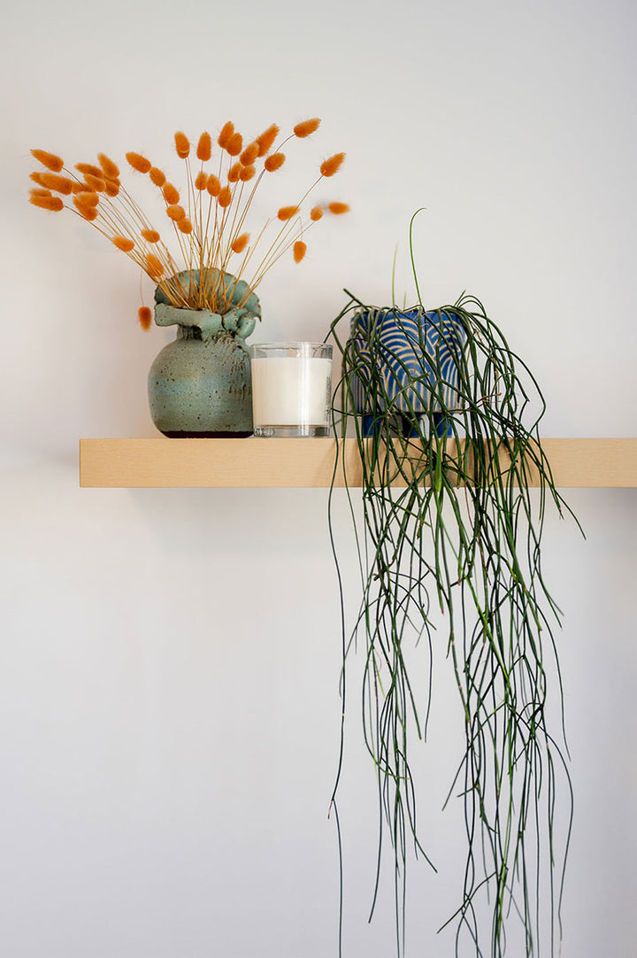 Candle on shelf with plants