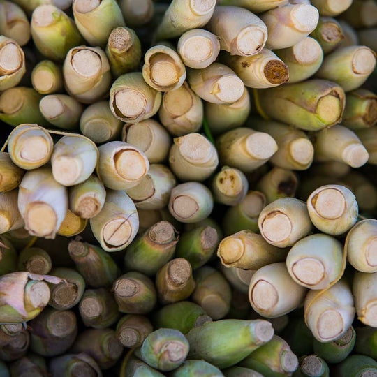 Lemongrass