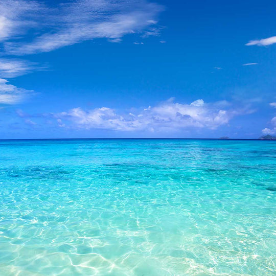 Ocean Breeze