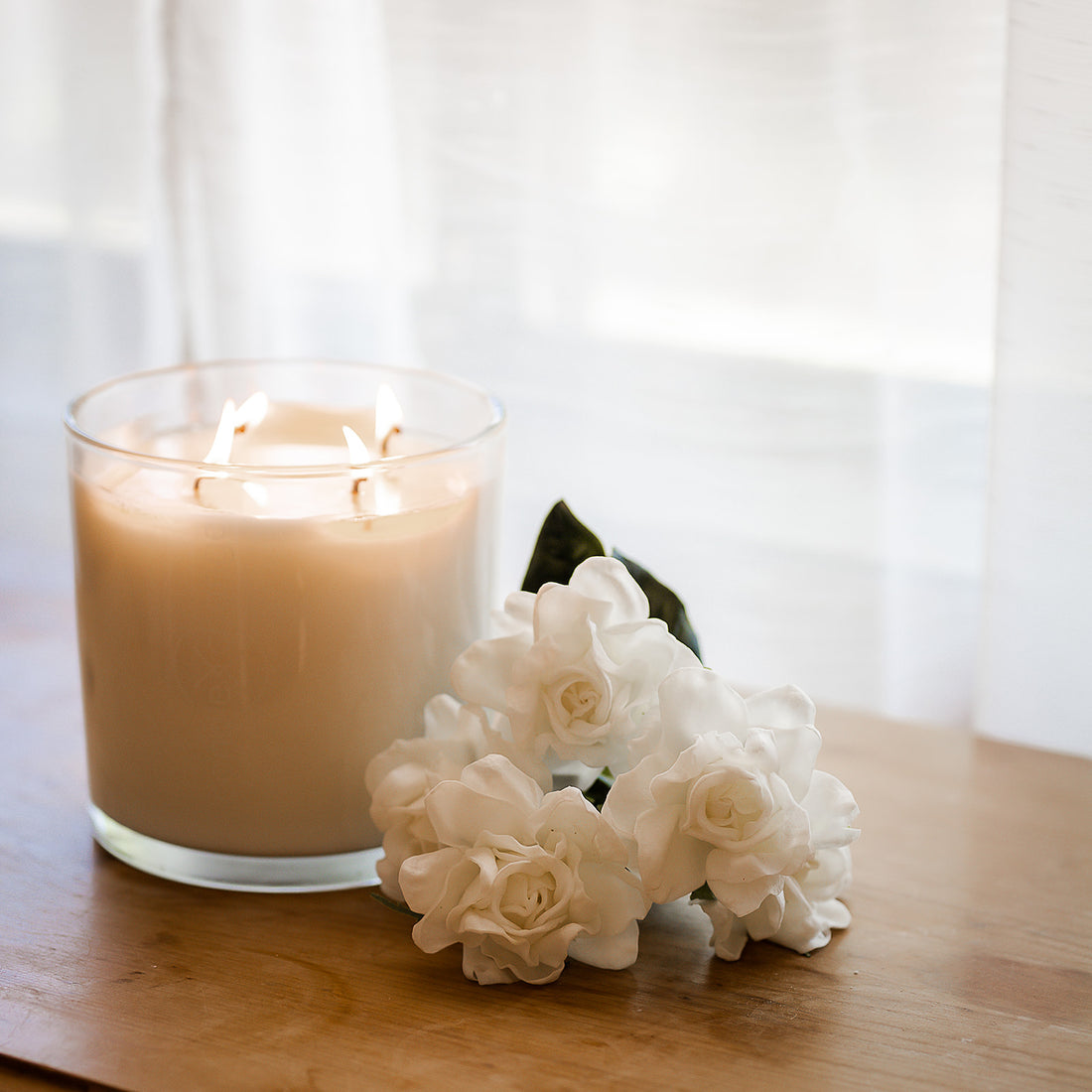Gardenia 1.5kg soy candle